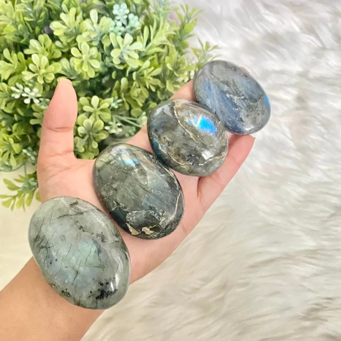 Blue LABRADORITE Palm Stone