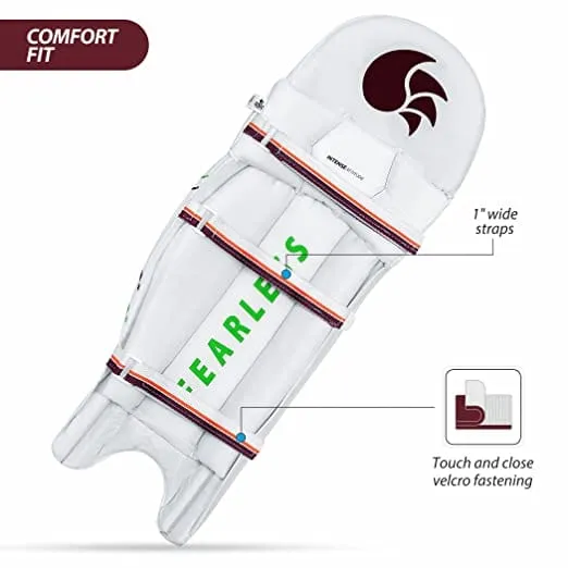 DSC Intense Attitude Cricket Batting Legguard