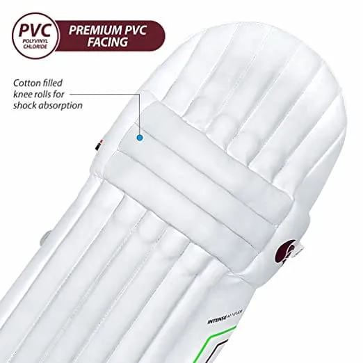 DSC Intense Attitude Cricket Batting Legguard