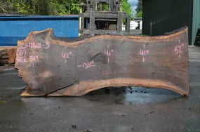 Oregon Black Walnut Slab 042621-03