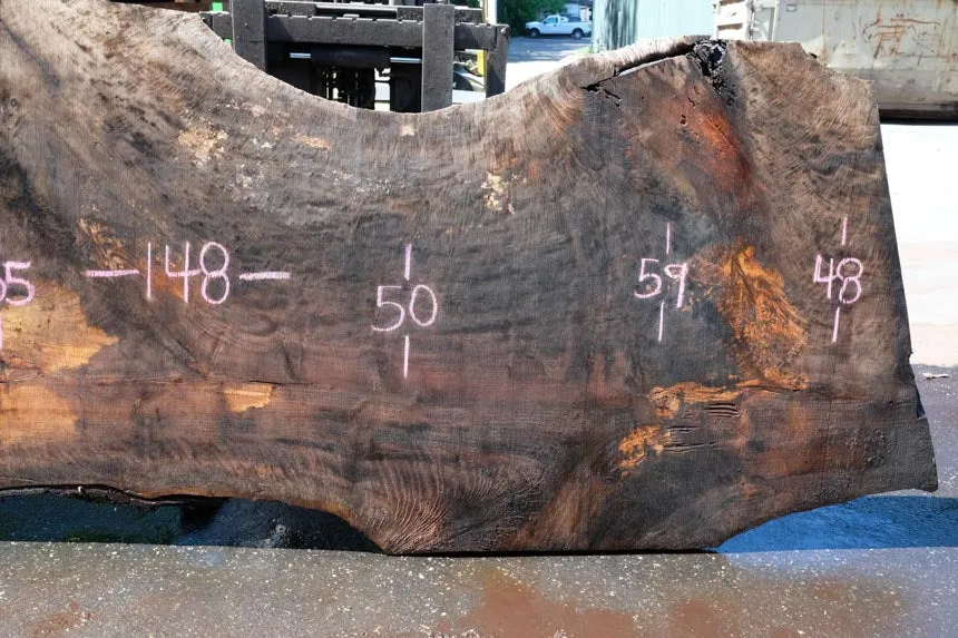 Oregon Black Walnut Slab 051323-03