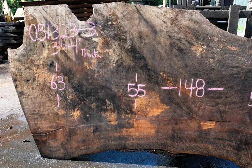 Oregon Black Walnut Slab 051323-03