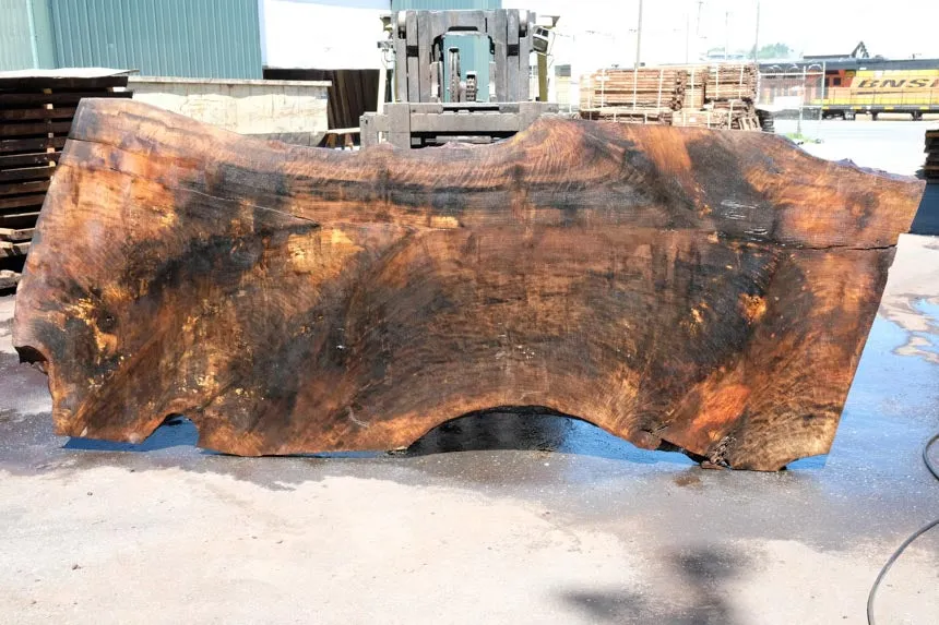 Oregon Black Walnut Slab 051323-03