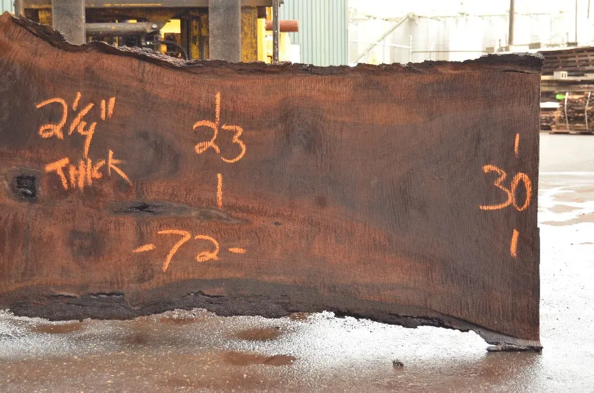 Oregon Black Walnut Slab 060122-02