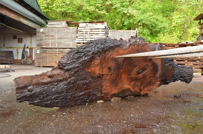 Oregon Black Walnut Slab 060322-10