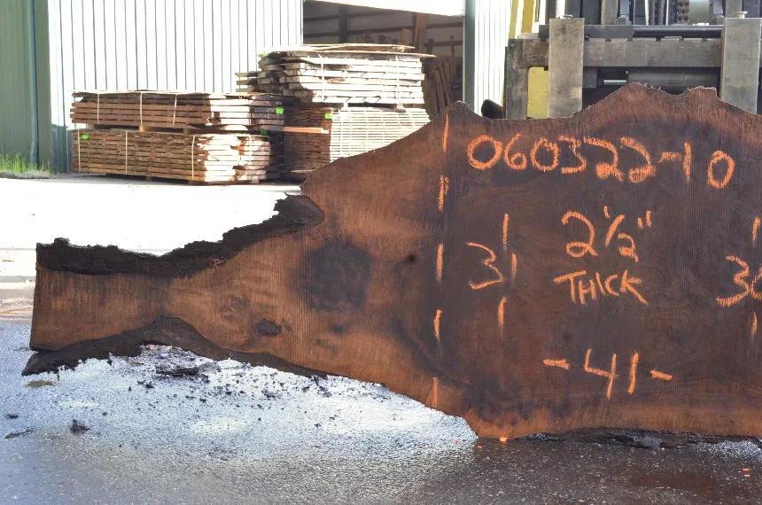 Oregon Black Walnut Slab 060322-10