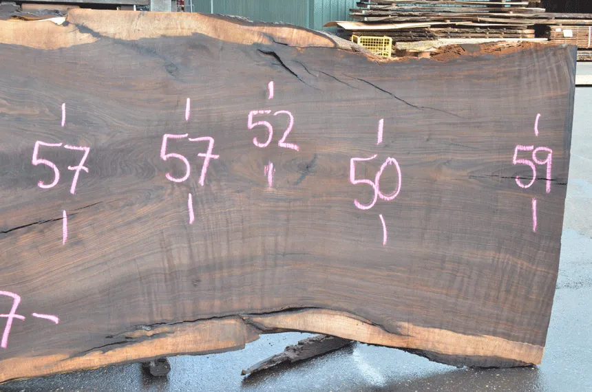 Oregon Black Walnut Slab 070220-05