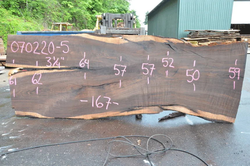 Oregon Black Walnut Slab 070220-05