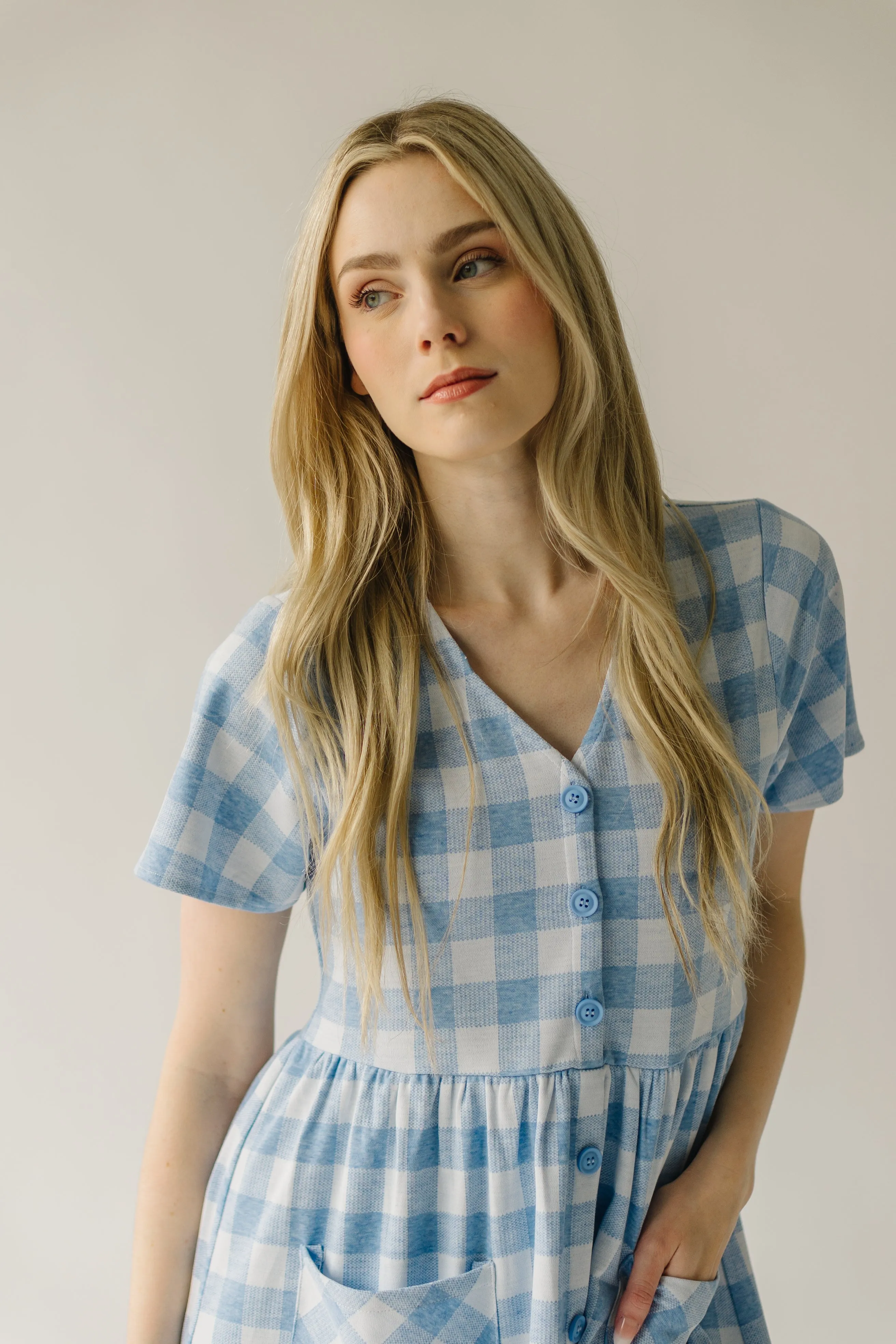 The Boice Button Front Gingham Dress in Blue Mutli