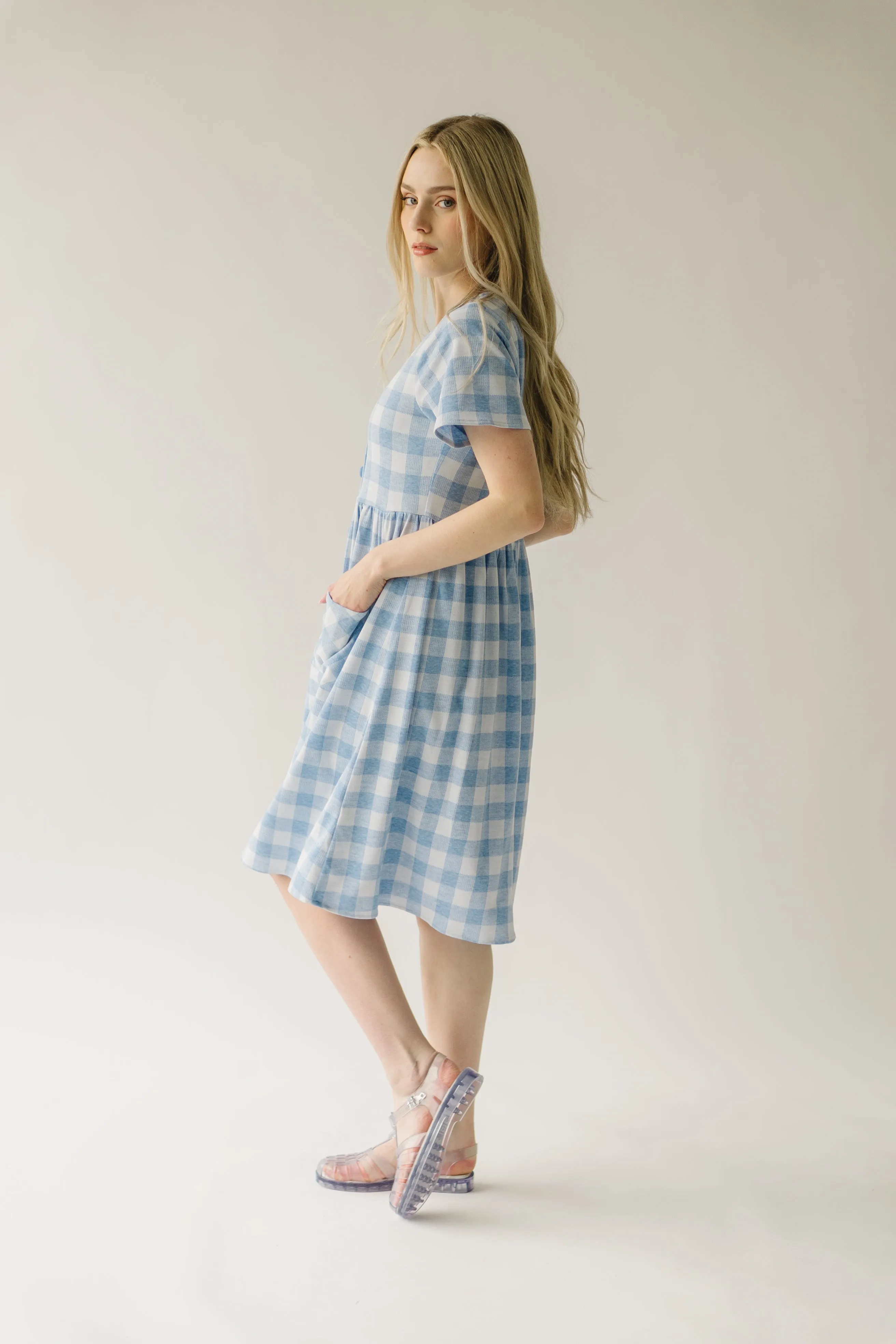 The Boice Button Front Gingham Dress in Blue Mutli